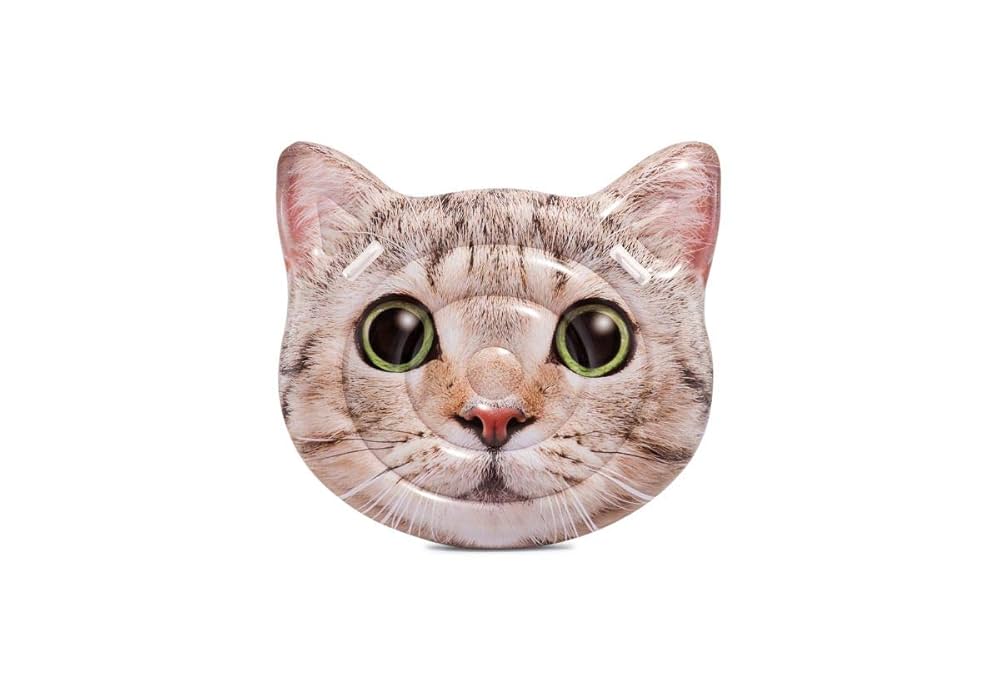 Amazon | INTEX(インテックス) 浮き輪 フロート マット キャット